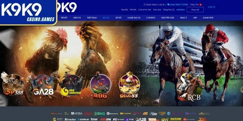 Khái quát sảnh Đá Gà K9K9